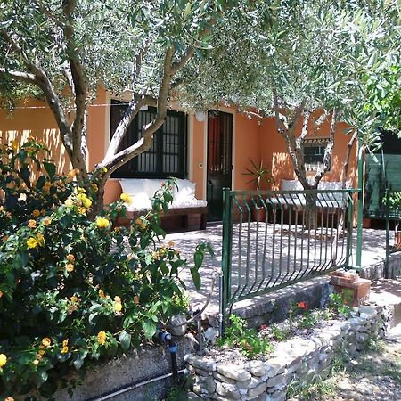 Il Vigneto "Cottage" ガッジ 部屋 写真